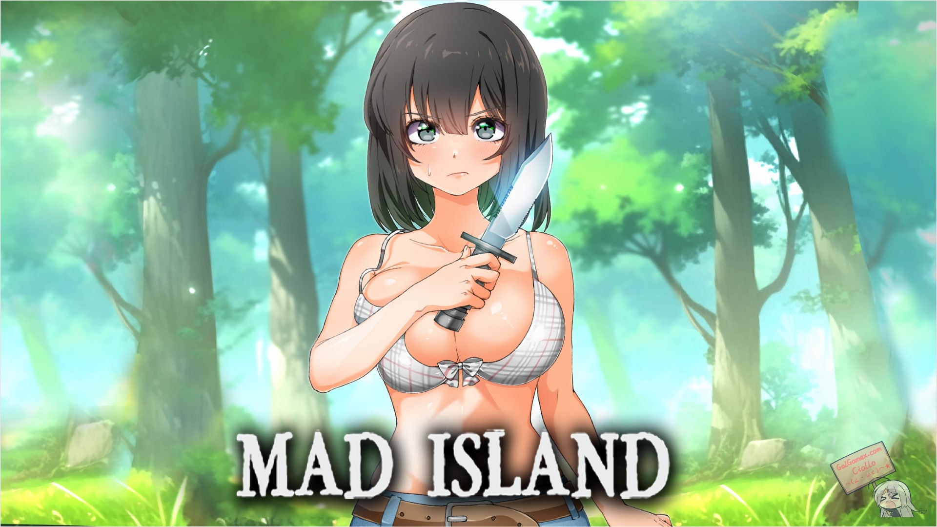 【PC】【官中】疯狂岛 Mad Island -v0.2.3官中无修版+DLC【1.6G】